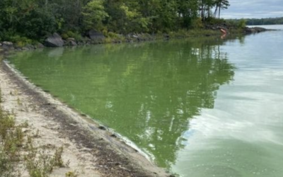 Androscoggin Lake’s 2021 Water Quality Decline