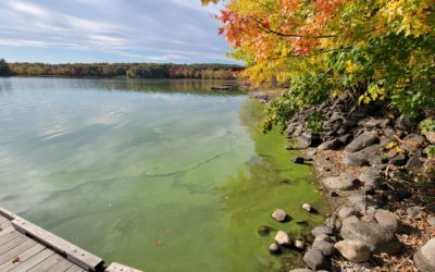 Maine lakes are under attack and your lake needs you now, more than ever.