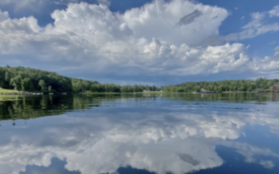 Save Androscoggin: Campaign for a Healthy Lake