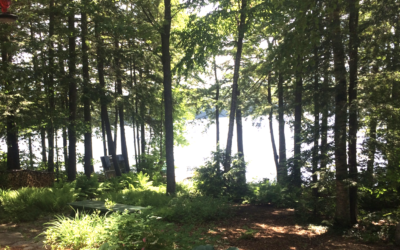 The “View” – Is Yours Protecting the Lake?