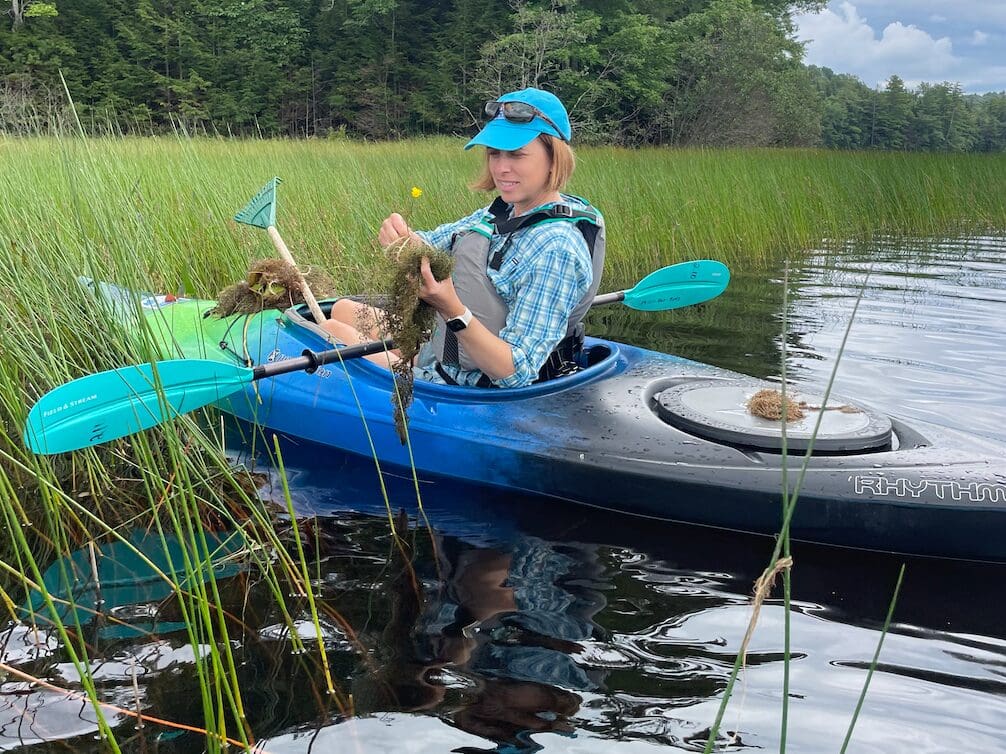0 Mile’s Executive Director, Lidie Robbins, removes swollen bladderwort from Tilton Pond.