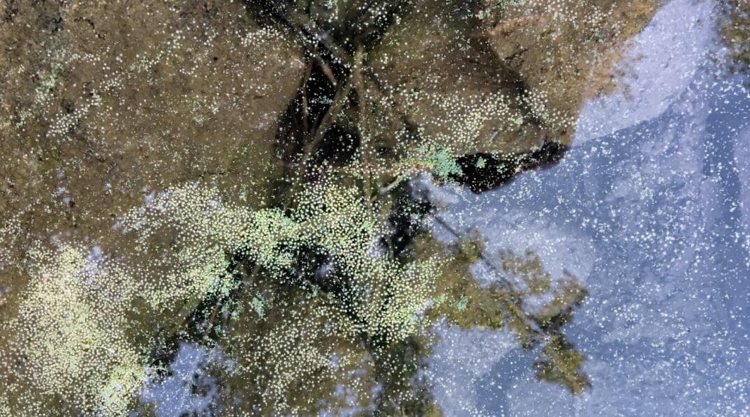 unnamed (8)