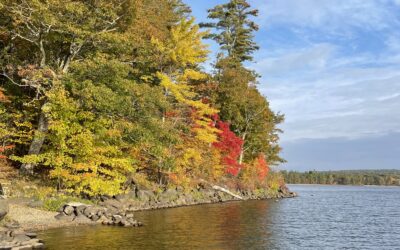 FUNDED: Androscoggin Lake Watershed Protection Project, Phase I