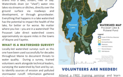 Pocasset Lake Watershed Survey: September 28, 2023