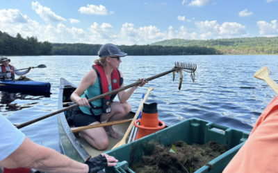 Update on Invasive Bladderwort in Tilton Pond