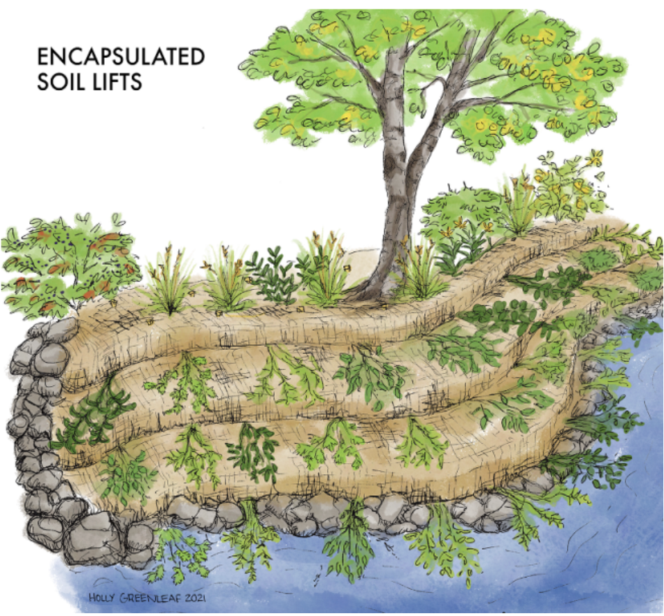 Question of the month: Is riprap the best way to stabilize my shoreline ...