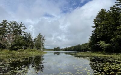 Androscoggin, Echo, Flying, Lovejoy, Parker and Pocasset included in shoreline study