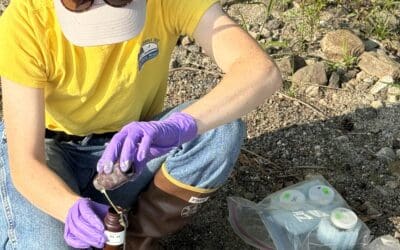 Question of the Month: What’s that stuff in the water?