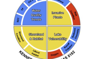 NEW! Maine Lake Scorecards