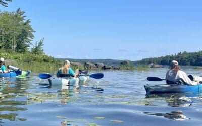 Androscoggin Lake milfoil season wrap-up