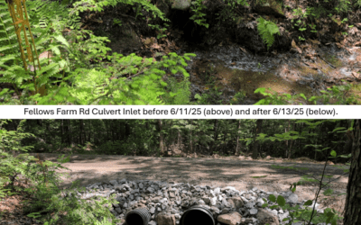 Reducing Runoff and Strengthening Lake Health: Clean Water Act “319” Grant Project Updates