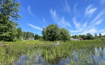 Question of the month: Why is an herbicide being used in Androscoggin Lake?