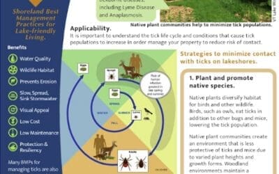 Question of the month: How can I landscape my yard to manage ticks?