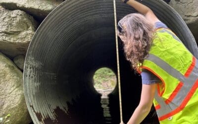 Assessing Town Stream Crossings Across the Watershed
