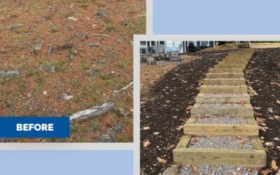 319 Projects: Check out this work to protect our lakes